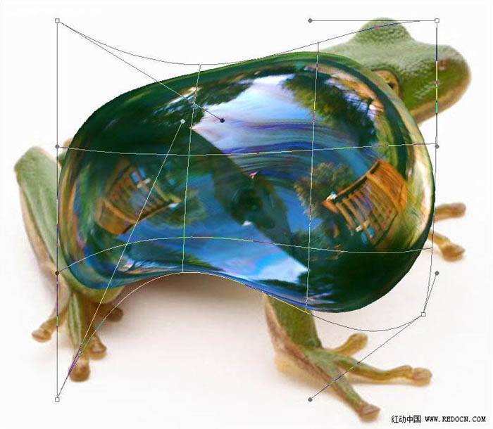 PS合成一只晶莹剔透的玻璃青蛙图片
