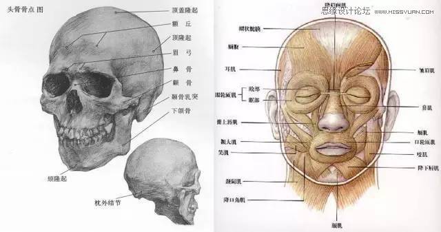 解析商业大片人物皮肤修饰的PS技巧