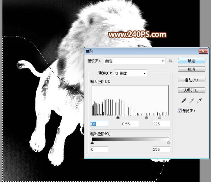 利用通道抠取狮子图片换背景的PS技巧