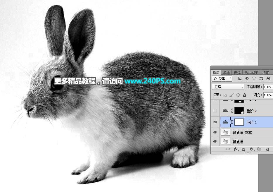 用PS钢笔和通道对兔子照片抠图的教程