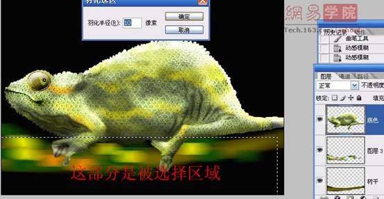 鼠绘一只变色龙的Photoshop教程