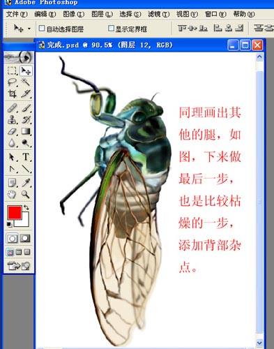 学习用PS鼠绘爬在树干上的蚱蝉
