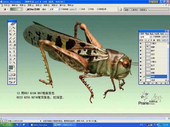 学习鼠绘蝗虫的Photoshop教程
