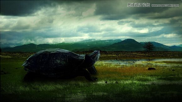 Photoshop合成背着假山爬行的乌龟图片