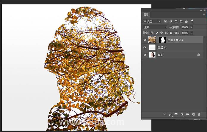 合成人物头像与树枝重影效果的PS教程