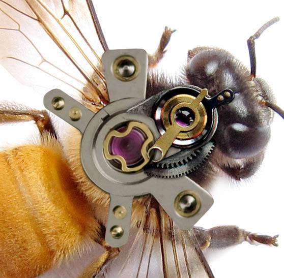 合成逼真机械蜜蜂图片的Photoshop教程