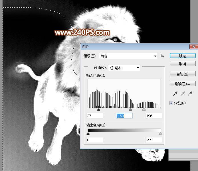 利用通道抠取狮子图片换背景的PS技巧