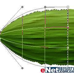 PS鼠绘占板上摆放的两条黄瓜