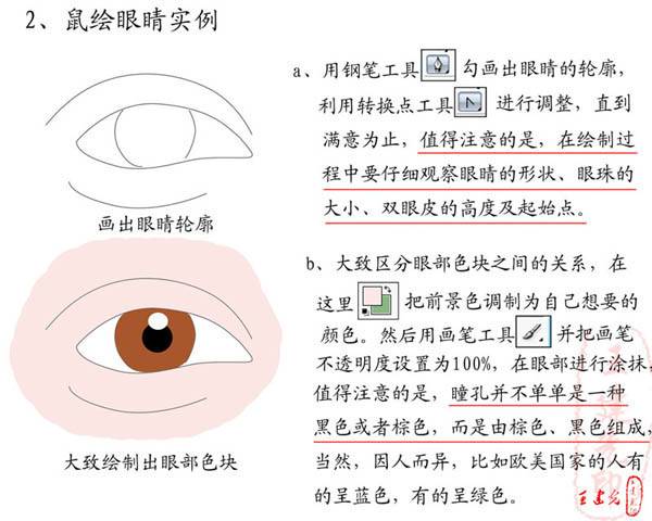 学习鼠绘逼真人物眼睛特写照片