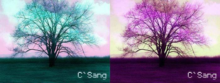 用PS打造梦幻潮流色彩的树木照片