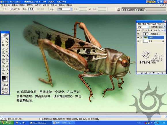 学习鼠绘蝗虫的Photoshop教程