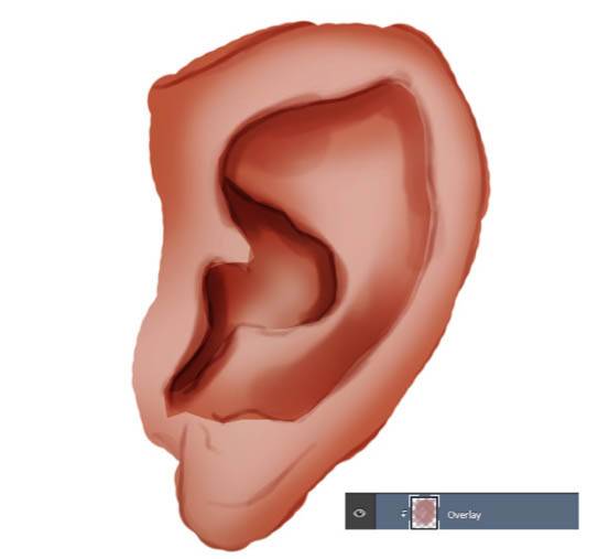 鼠绘一只逼真真人耳朵图片的PS教程