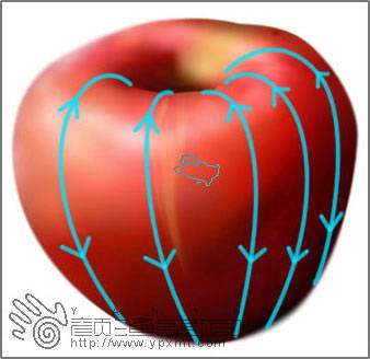 绘制红通通苹果的PS鼠绘教程