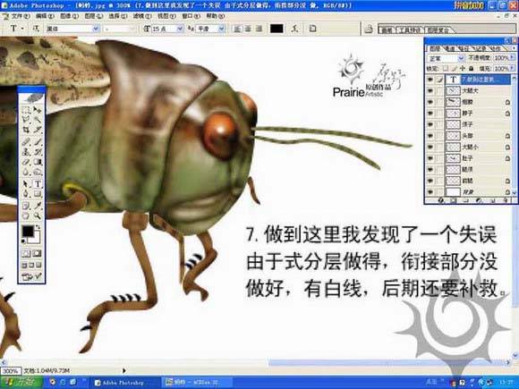 学习鼠绘蝗虫的Photoshop教程