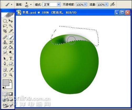 学习鼠绘托盘当中的两只苹果