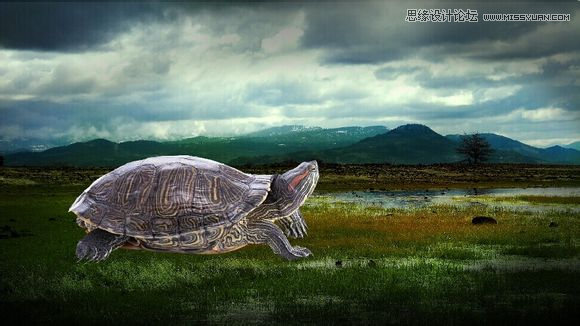 Photoshop合成背着假山爬行的乌龟图片