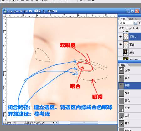 学习PS鼠绘乌黑闪亮的美女眼睛