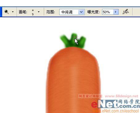 鼠绘三根逼真红萝卜的PS教程
