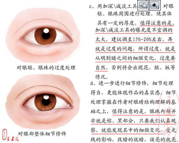 学习鼠绘逼真人物眼睛特写照片