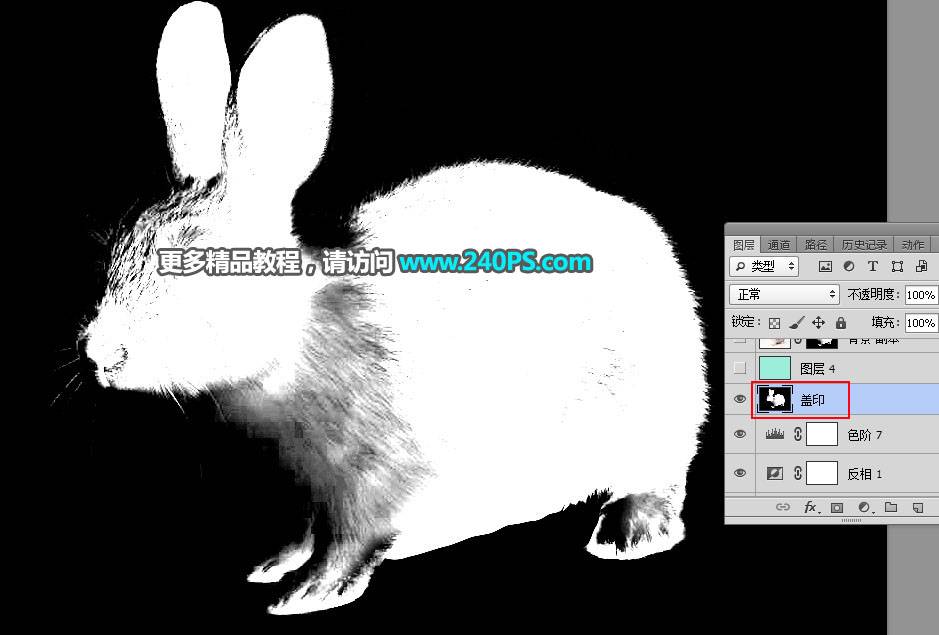 用PS钢笔和通道对兔子照片抠图的教程