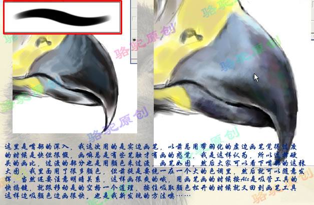 用PS鼠绘凶猛山鹰水墨插画图案