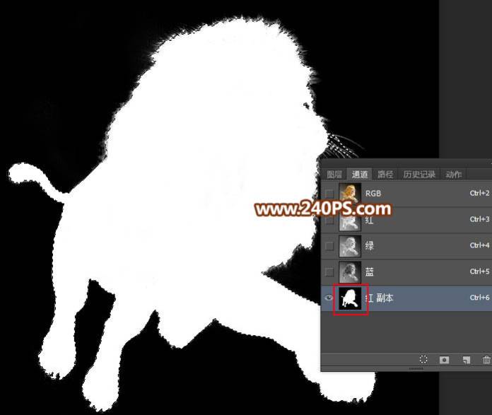 利用通道抠取狮子图片换背景的PS技巧