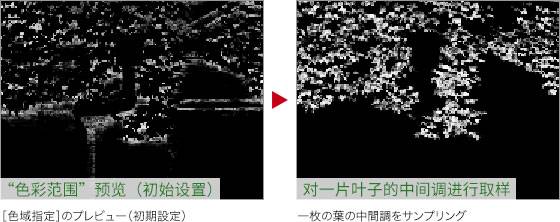 制作金黄色树叶风景照片的PS技巧