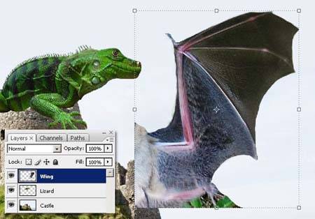 PS怎样合成趴在城堡上的绿色翼龙图片