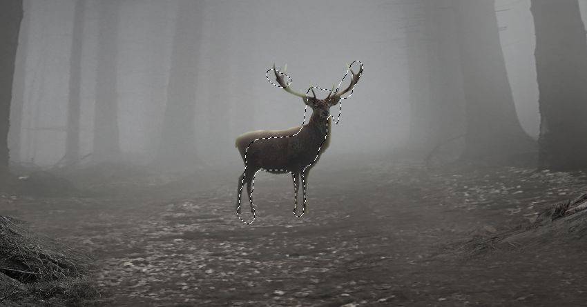 PS合成奇幻迷雾森林中的梅花鹿图片