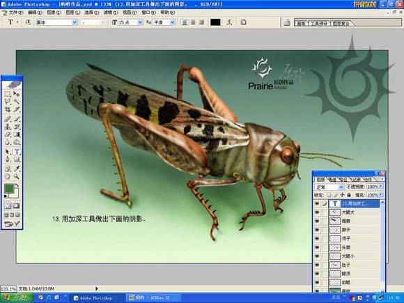 学习鼠绘蝗虫的Photoshop教程
