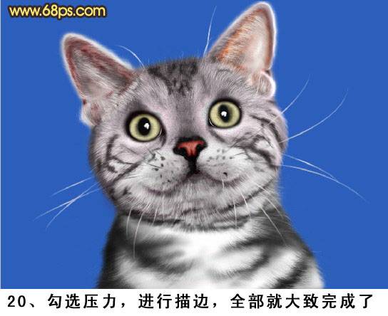 鼠绘神态自若可爱小花猫的PS教程