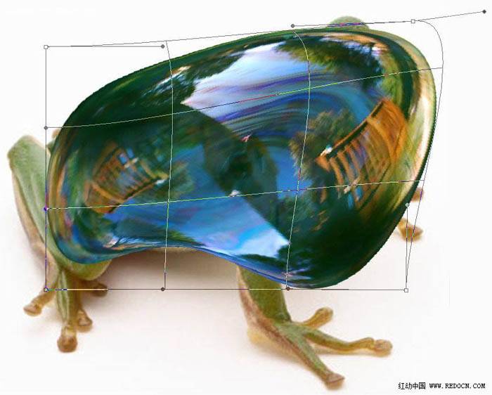 PS合成一只晶莹剔透的玻璃青蛙图片