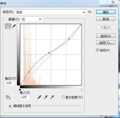 PS鼠绘梦幻夜色动漫森林照片