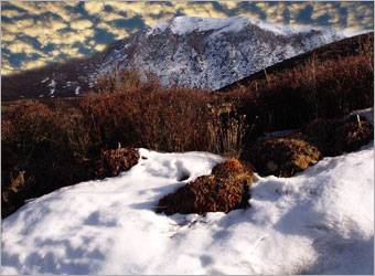 PS合成站在雪地中的天使人物照片