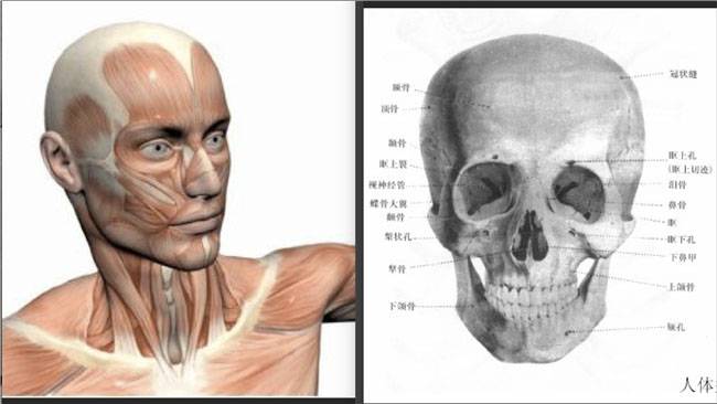 PS学习古铜肤色人物头像皮肤磨皮教程