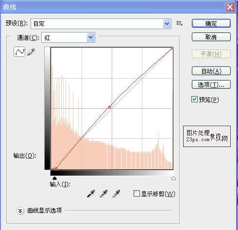 PS软件给金黄色森林公园照片润色处理