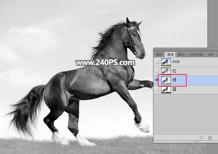 使用PS通道工具抠取草原上的骏马图片