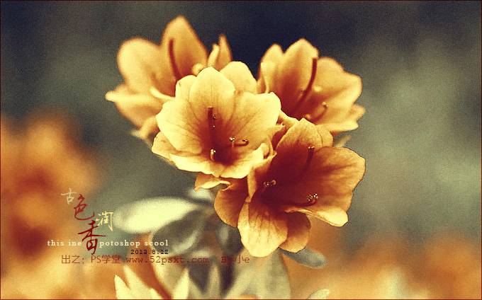 制作金色古韵花朵照片的PS实用技巧