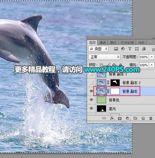 抠出水面海豚图片的PS通道抠图技巧