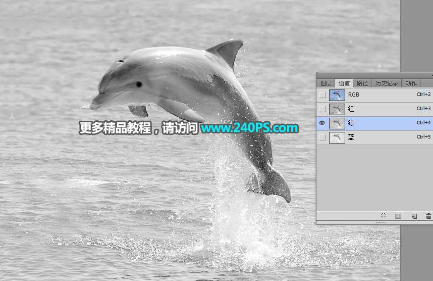 抠出水面海豚图片的PS通道抠图技巧
