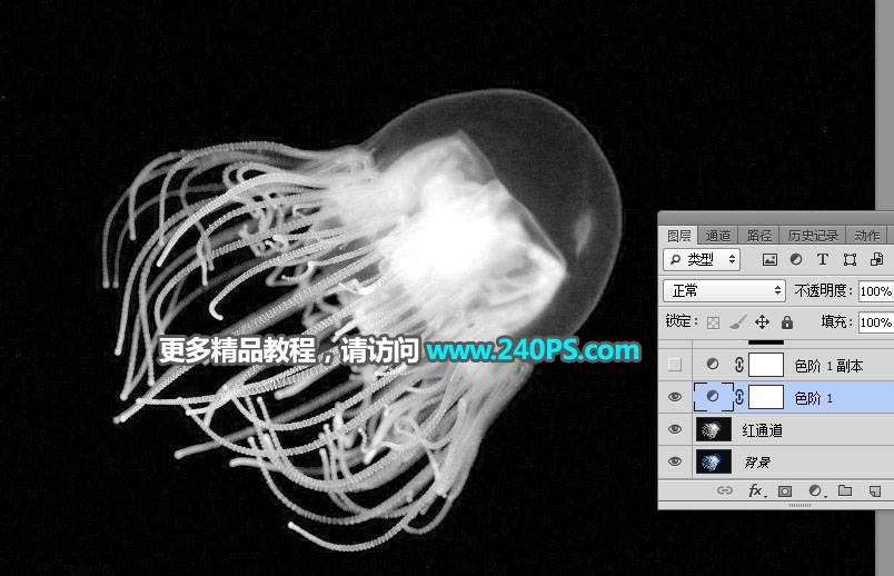 抠取透明水母图片的PS通道抠图教程