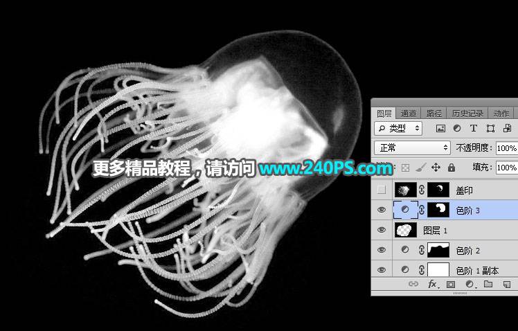 抠取透明水母图片的PS通道抠图教程