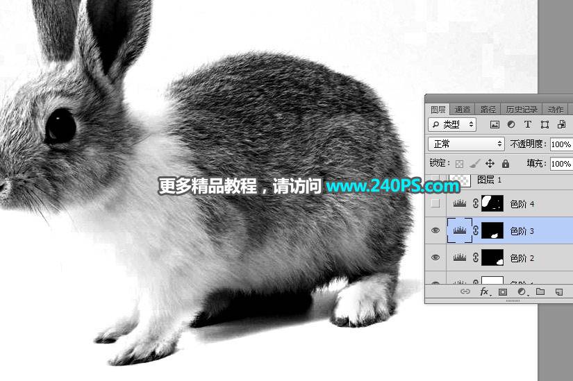 钢笔和通道对兔子照片抠图的PS教程