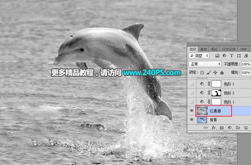 抠出水面海豚图片的PS通道抠图技巧