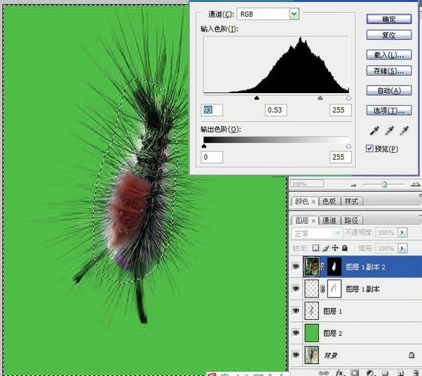 用PS抽出滤镜对毛毛虫图片抠图换背景
