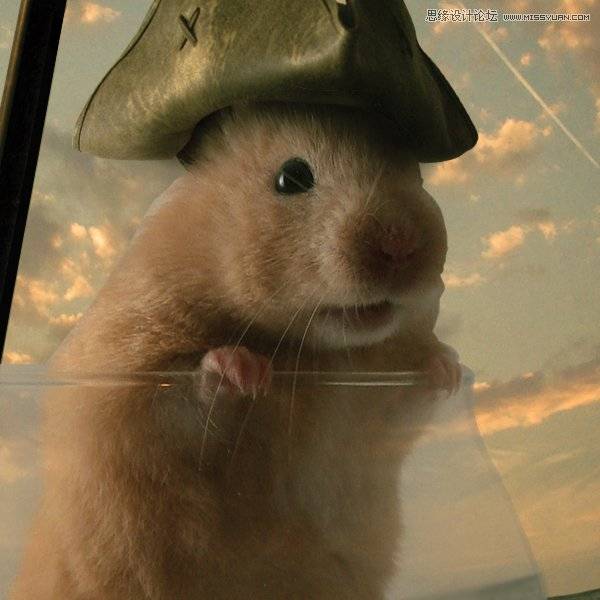 Photoshop合成可爱的海盗鼠船长教程