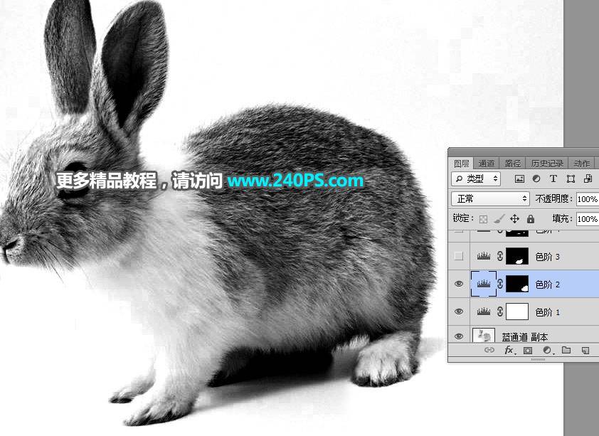 钢笔和通道对兔子照片抠图的PS教程
