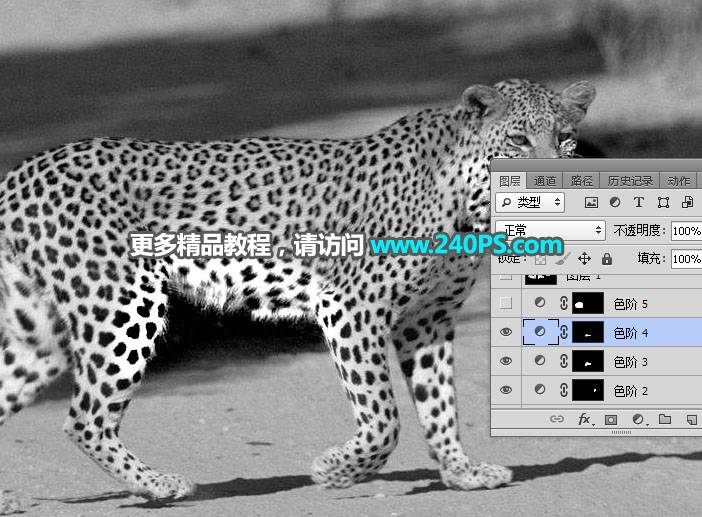 通道工具抠取豹子图片换背景的PS教程