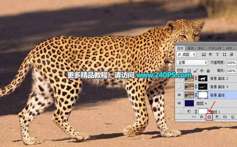 通道工具抠取豹子图片换背景的PS教程